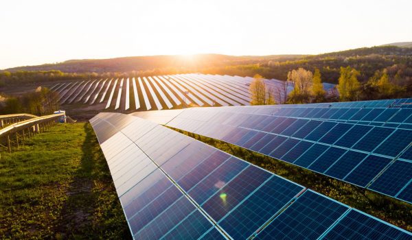Solar panels installed on a solar farm